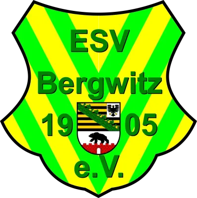 Wappen der Vereine im KFV Fußball Wittenberg